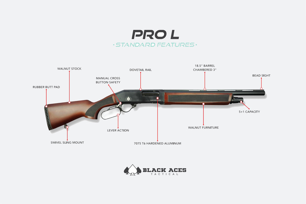 Lever 12, Lever Action, Black on Black Walnut